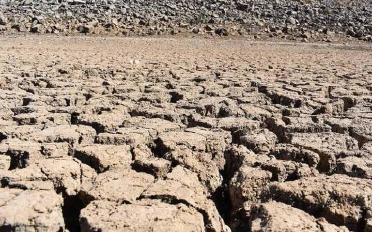  Sequía afecta 98.1% del territorio chihuahuense
