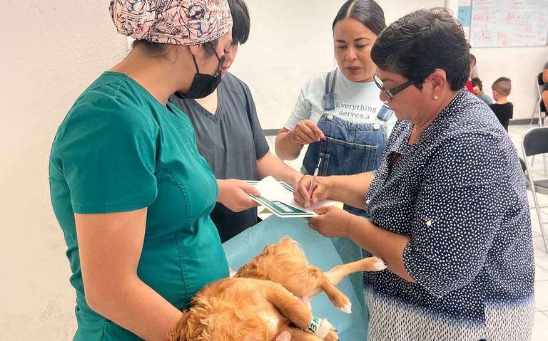  Comisión de Ecología lleva a Guadalupe esterilización masivas de mascotas