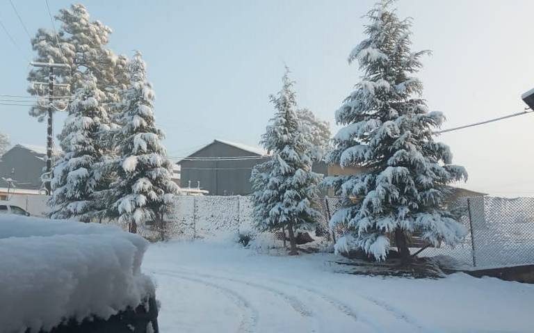  Deja Quinta Tormenta Invernal seis municipios de Chihuahua con nieve
