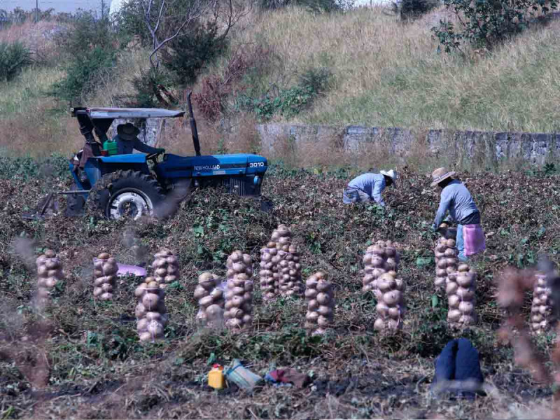  Plantean recuperar al campo del Estado de México