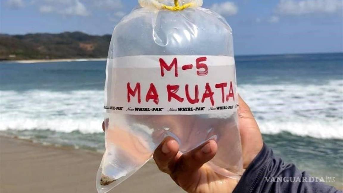  Reportan 14 playas contaminadas con heces fecales en México