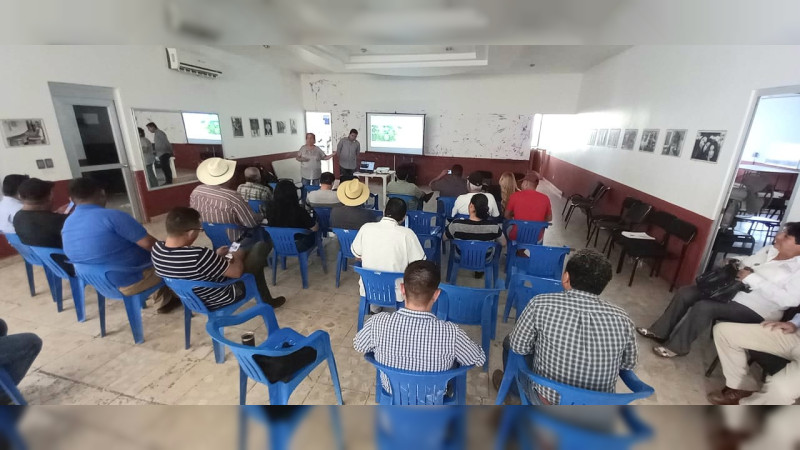  Participa Sader en talleres para mejorar suelos en el cultivo del limón