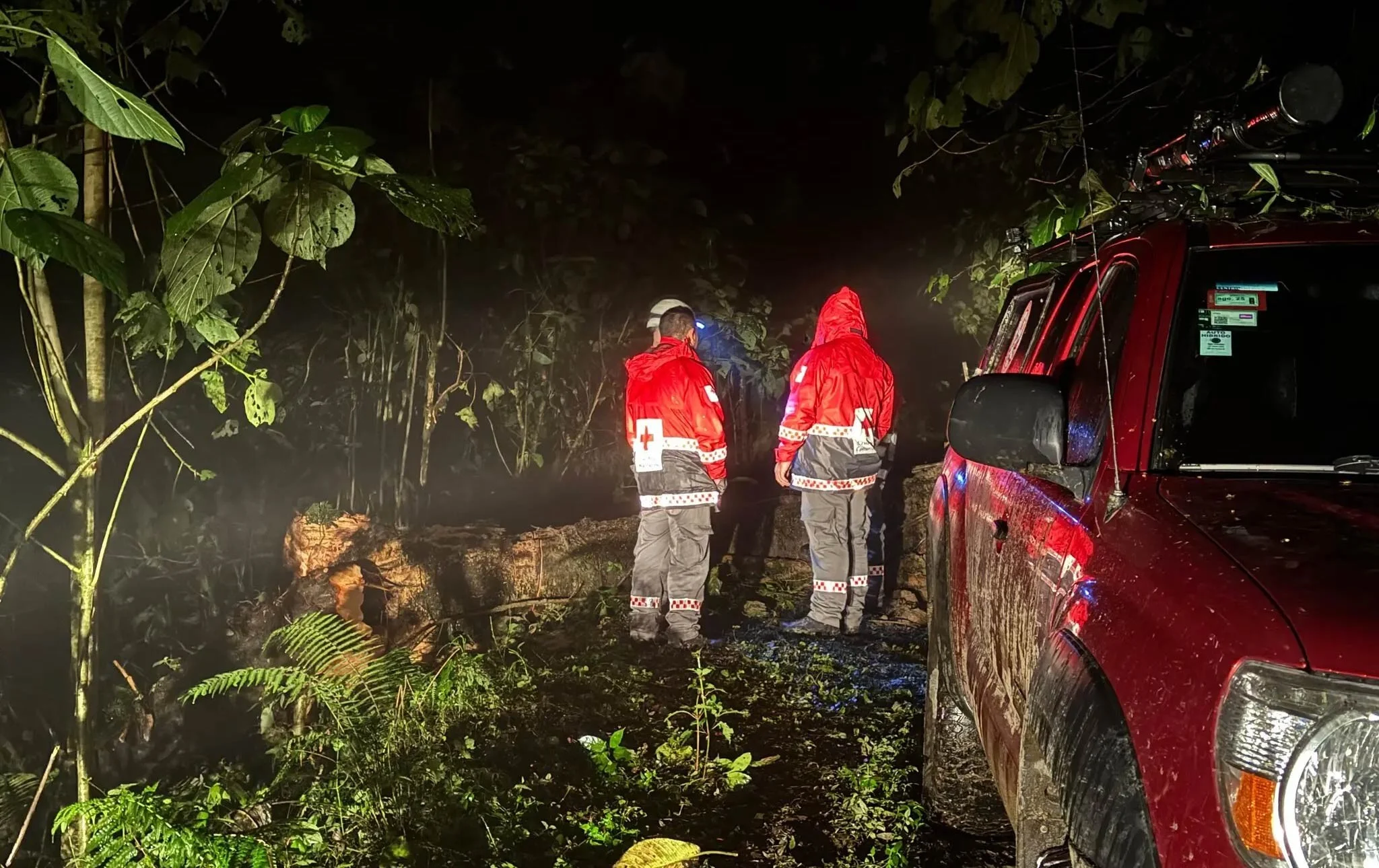  Caminan 14 horas para salvar a la única sobreviviente de avionazo