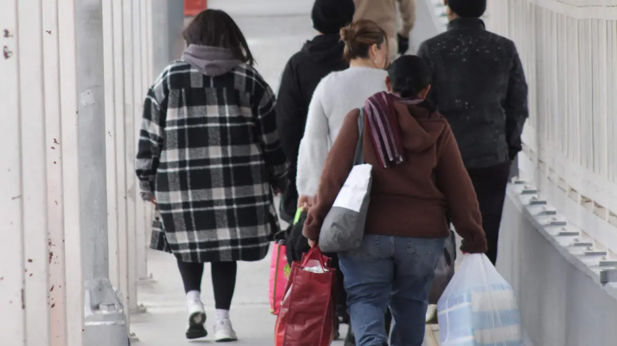  En caso de que se aplique el 25% de aumento a los aranceles se avizora desempleo en México: economista