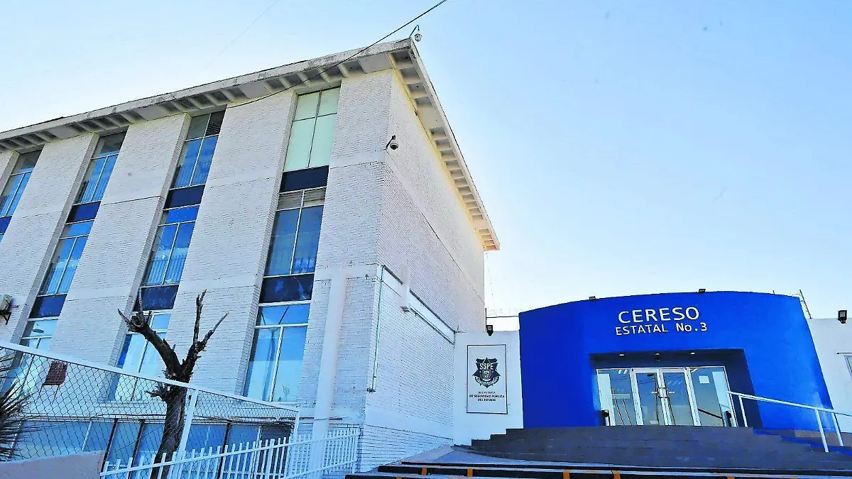  Sólo 8 penales federales cuentan con programas de Readaptación Social dirigidos por psicólogos